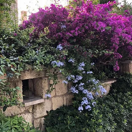 Vi̇lla * Alacati