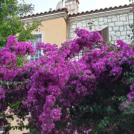 Vi̇lla Alacati