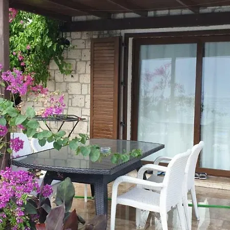 Villa Vi̇lla