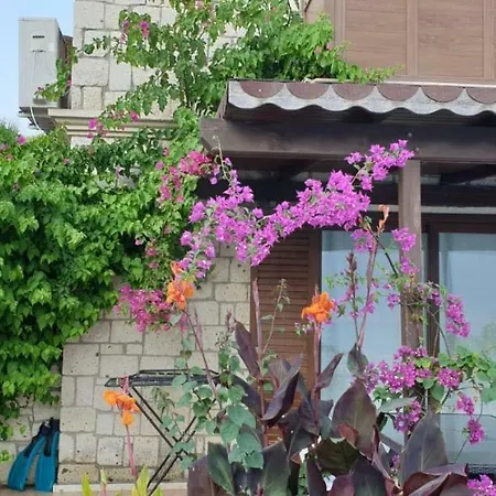 Villa Vi̇lla