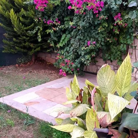 Villa Vi̇lla Alacati